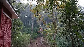 Hotel Falling Waters Munnar