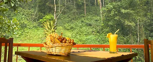 Falling Waters Munnar 3*,